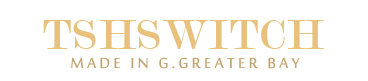 TSH+ สวิตช์สไลด์  - ผู้ผลิตจีน สวิตช์สไลด์ตรง